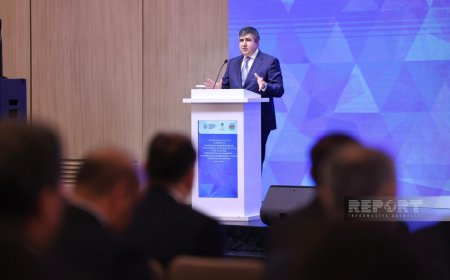 Azərbaycanda sahibkarlığa dair yeni ixtisaslaşmış məhkəmələr yaradıla bilər