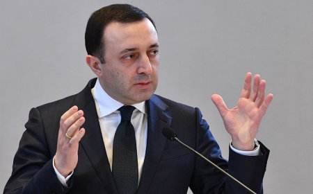 Qaribaşvili siyasətdən getdiyini elan edib