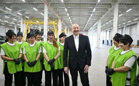 İlham Əliyev Qusarda kompleksin fəaliyyəti ilə tanış oldu