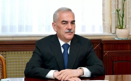 Naxçıvanda Vasif Talıbovun zamanında imzalanan qərarlar ləğv edildi - SİYAHI