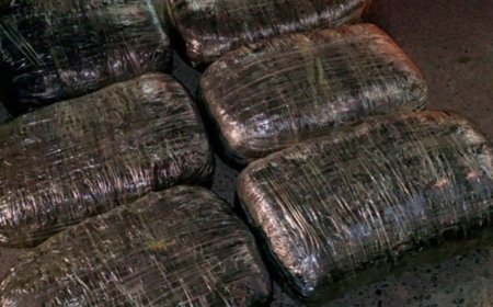 Cəlilabad sakinlərdən 18 kiloqram narkotik aşkarlandı
