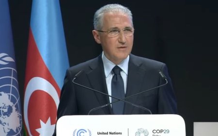 COP29 Sədri iqlim hədəflərinə çatmaq məqsədilə inkişaf etmiş ölkələri liderliyə çağırıb