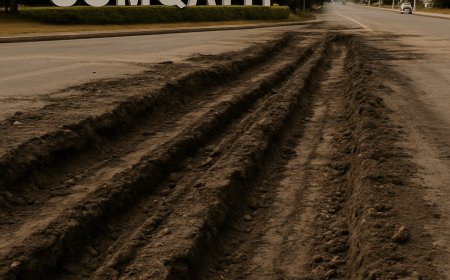 Şumlayırıq, amma biçə bilmirik...