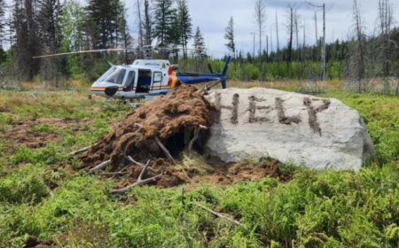 Kanadada meşədə itkin düşən şəxs 9 gün sonra tapıldı