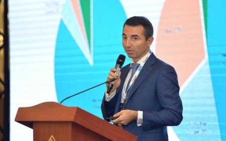 Adnan Əhmədzadə bundan narahatdır - Vəkil