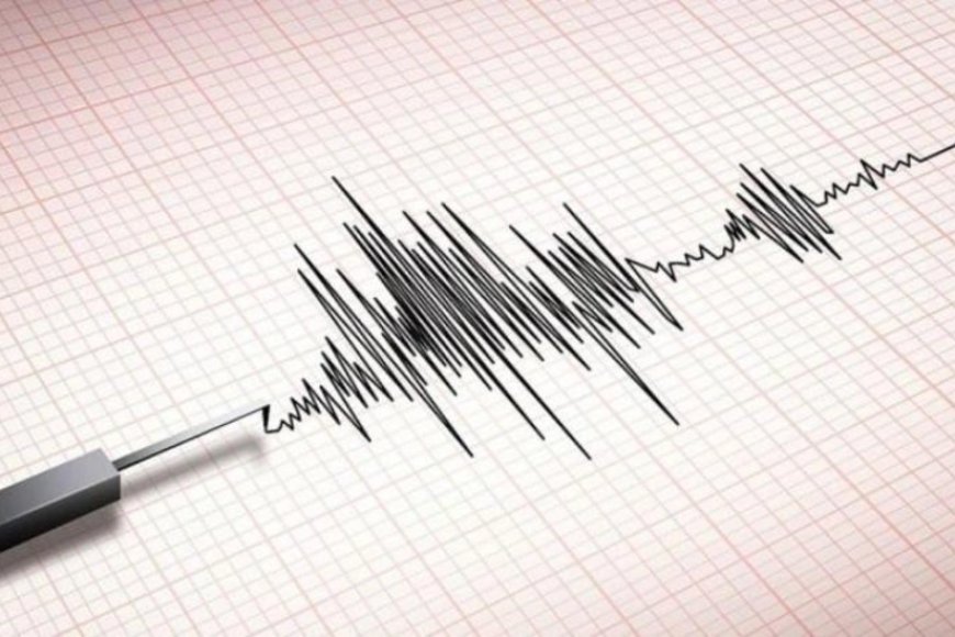 Kamçatkada 6 bal gücündə zəlzələ baş verib