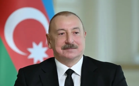 Prezidentdən Danimarkaya işgüzar səfəri ilə bağlı PAYLAŞIM