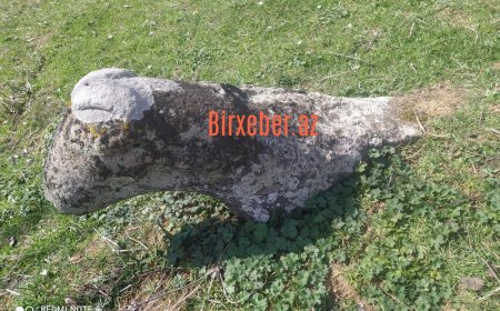 Azərbaycanın yeganə Kəl heykəlinə hücum –Cəlilabadda qədim abidə sındırılıb, hissələri itkin düşüb