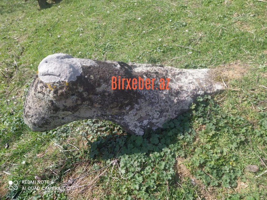 Azərbaycanın yeganə Kəl heykəlinə hücum –Cəlilabadda qədim abidə sındırılıb, hissələri itkin düşüb