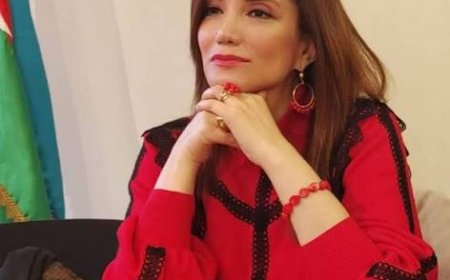 Gültəkin Hacıbəyli İbrahim Kalına müraciət etdi