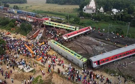 Hindistanda qatarın fil sürüsünü vurması nəticəsində səkkiz heyvan ölüb