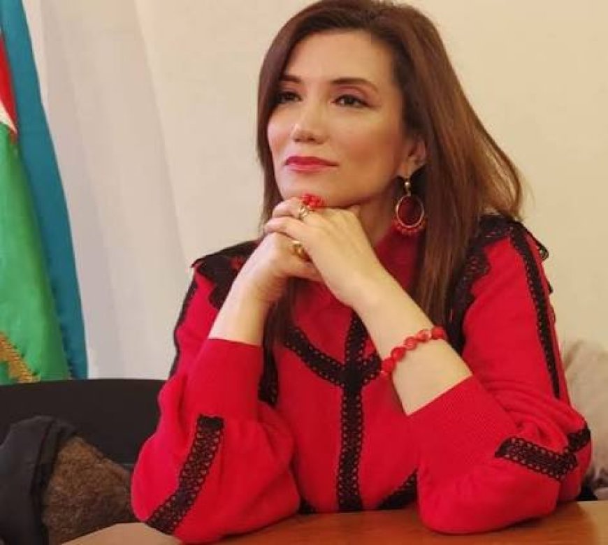 Gültəkin Hacıbəyli İbrahim Kalına müraciət etdi