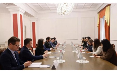 ABŞ və Ermənistan TRIPP layihəsinin həyata keçirilməsini müzakirə edib