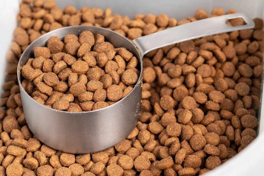 Azərbaycan İraqa heyvan yemi satışından gəlirini 6 dəfə artırıb