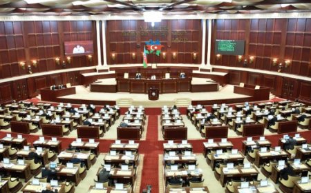 Bələdiyyələrin fəaliyyəti ilə bağlı illik məruzə Milli Məclisə daxil olub