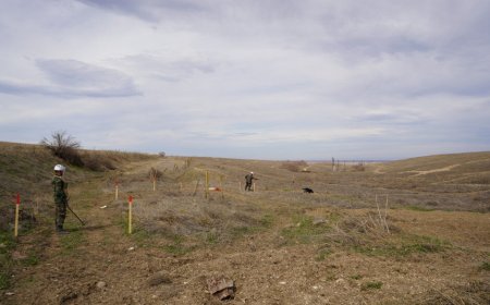 FHN Ağdamda minatəmizləmə əməliyyatlarını davam etdirir