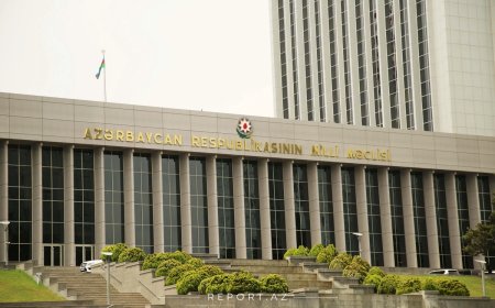 Ombudsmanın 2025-ci il üzrə məruzəsi Milli Məclisə daxil olub