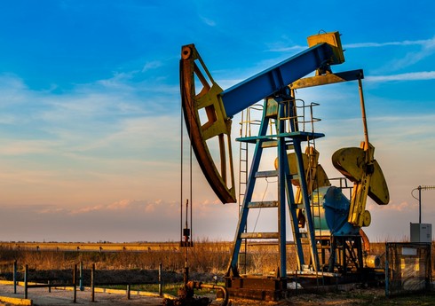 OPEC 2024-cü il üçün qlobal neft tələbatının artımı ilə bağlı proqnozu dəyişməyib