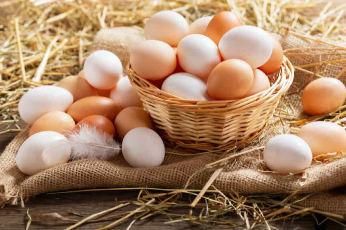 Azərbaycan bu il Rusiyaya 28 mln. ədəddən artıq yumurta tədarük edib