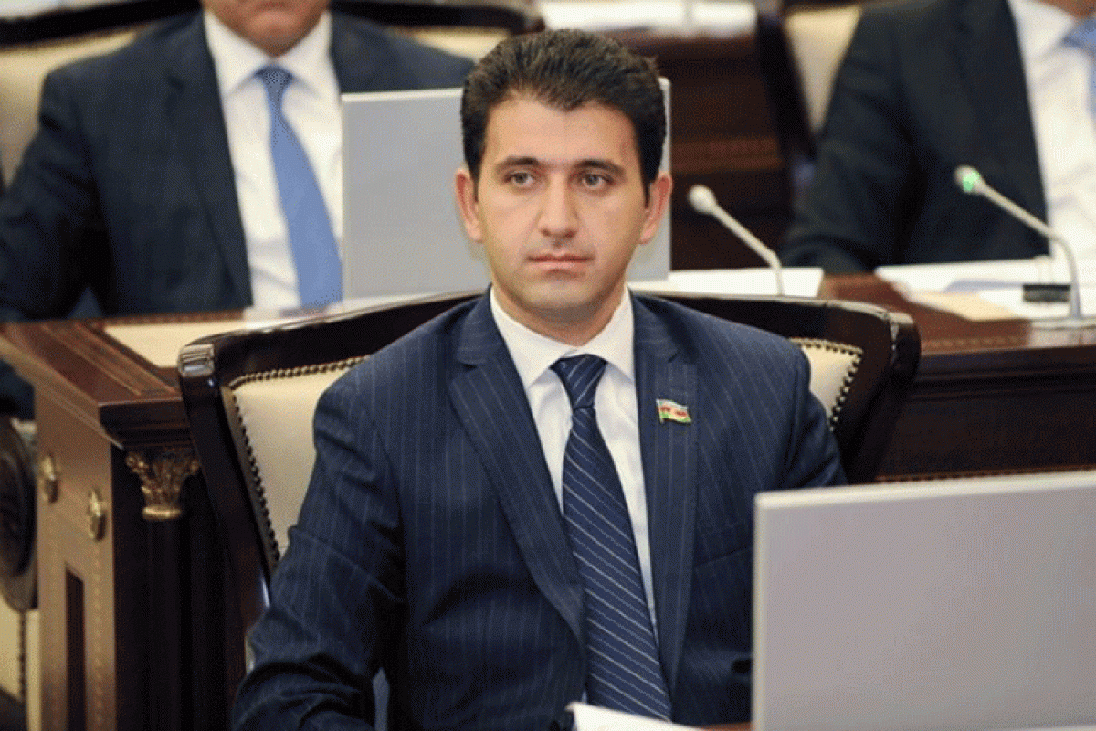 Deputat parlamentdə kibercinayətkarlıqla mübarizəyə dair çağırış edib