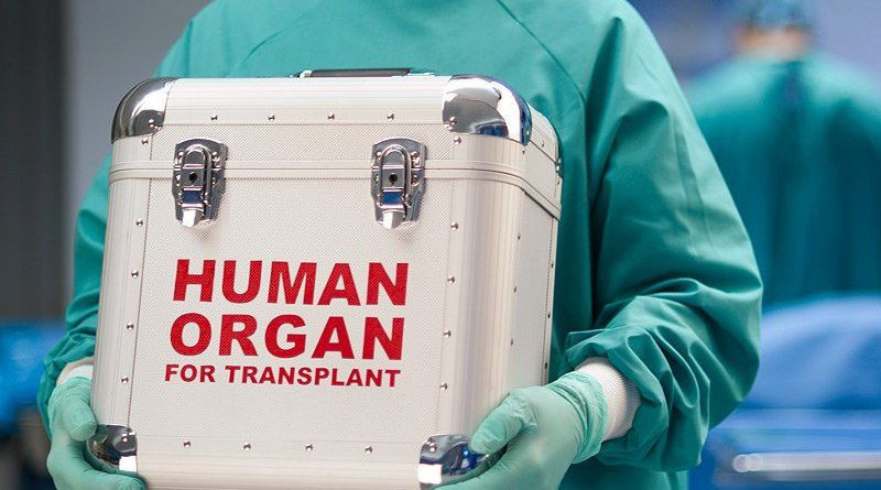 Mircəlal Kazımi: Hazırda qohum olmayanlardan da orqan transplantasiyası həyata keçirilir
