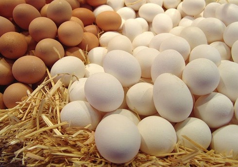"Rosselxoznadzor": Azərbaycandan Rusiyaya 29,3 milyon yumurta tədarük edilib