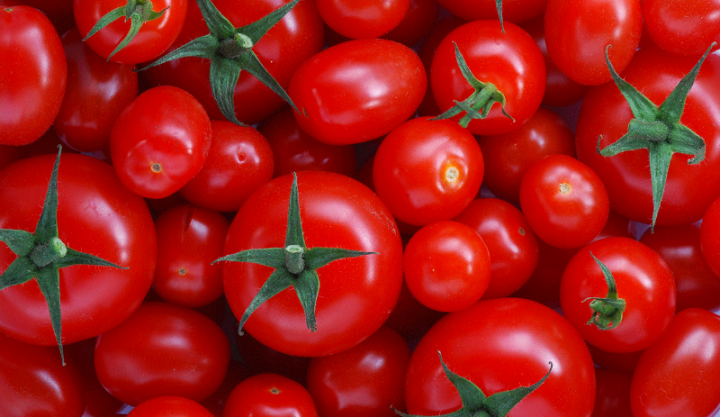 Son 5 ildə Azərbaycan pomidor ixracından 900 mln. dollara yaxın gəlir əldə edib