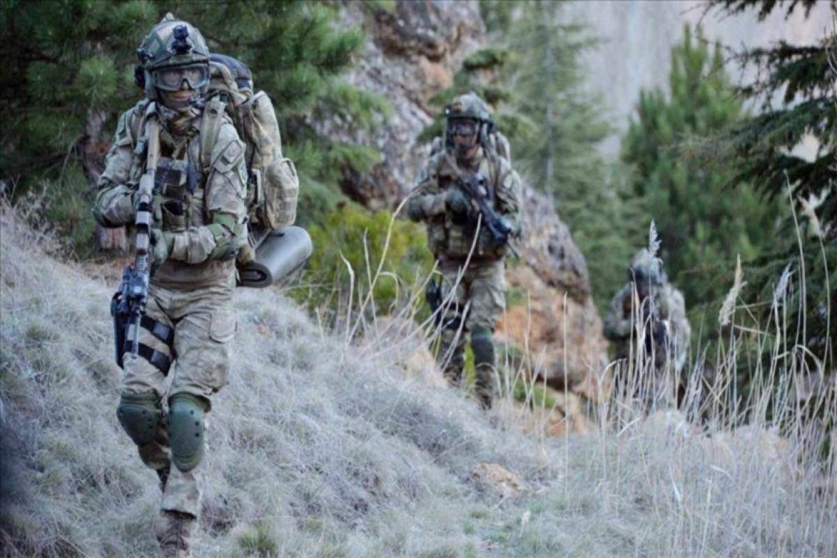 Suriya və İraqda 17 PKK terrorçusu zərərsizləşdirilib