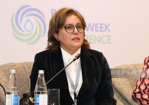 Umayra Tağıyeva: "Su probleminin həllində regional əməkdaşlıq edə bilmirik"