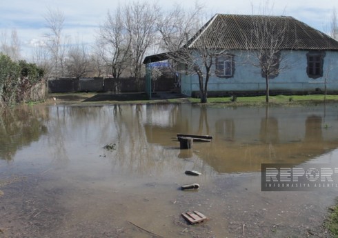 Zərdabda güclü yağışdan sonra qrunt suları evlərə dolub